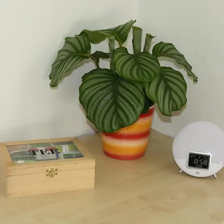 Casajansen - Grosse Im Dreistaedte-eck